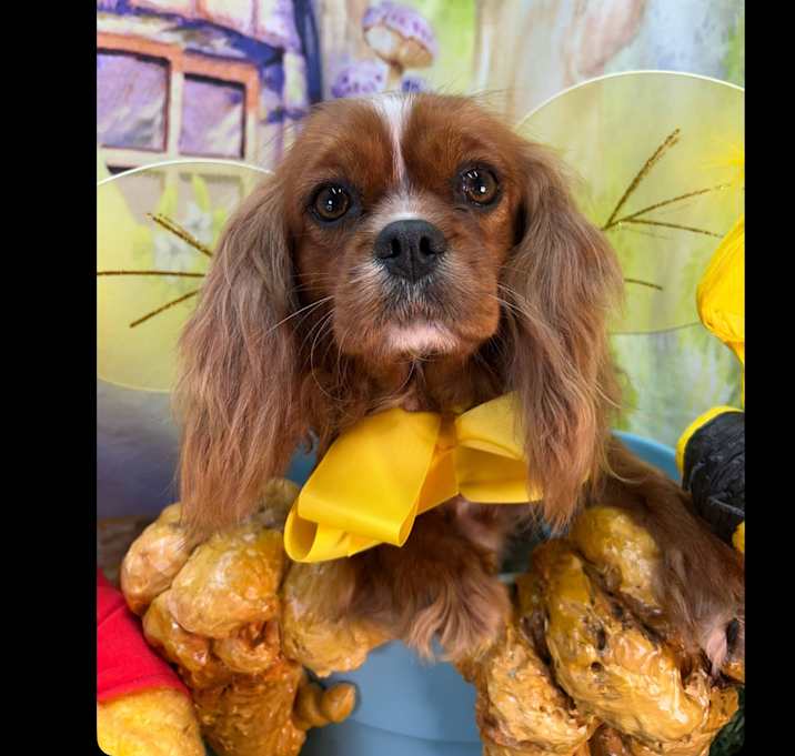 Photo of Winnie