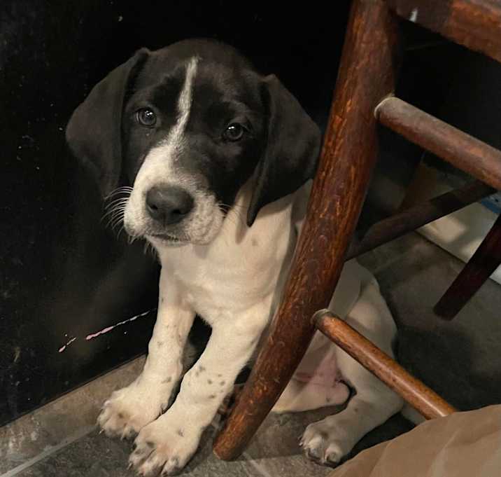 Photo of Mable