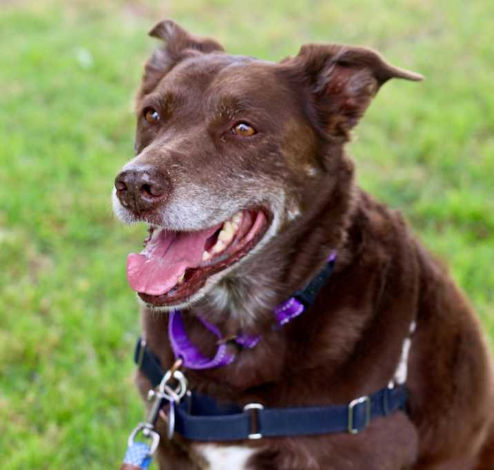 Photo of Coco