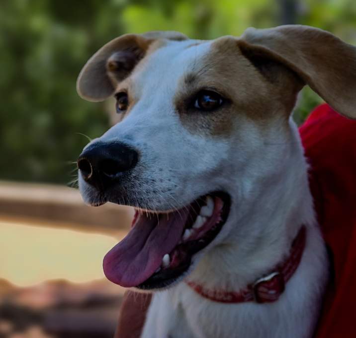 Photo of Holly