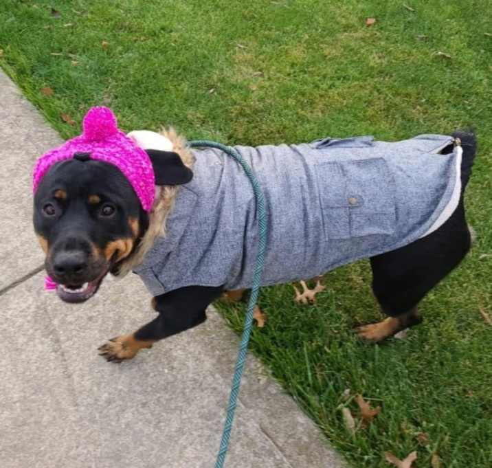 Photo of Violet