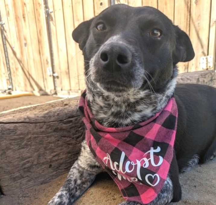Photo of ABBY