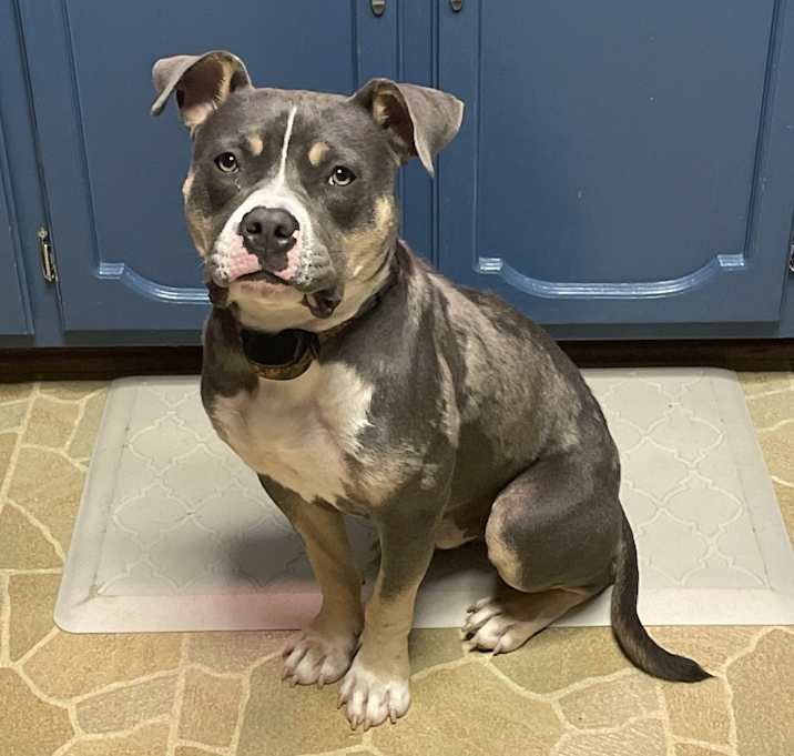 Photo of Maverick
