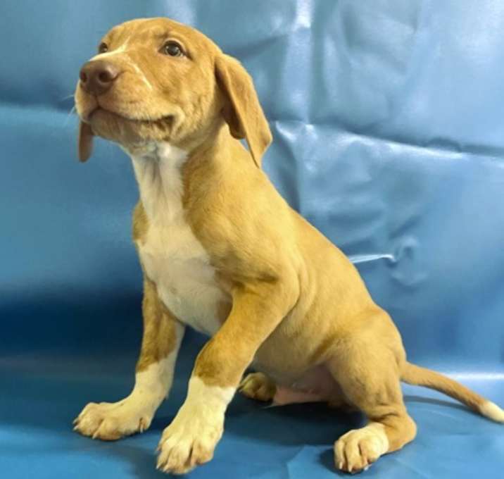 Photo of Jasper