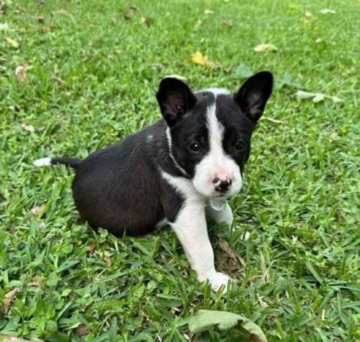 Photo of Novymber *Arriving 5/30*