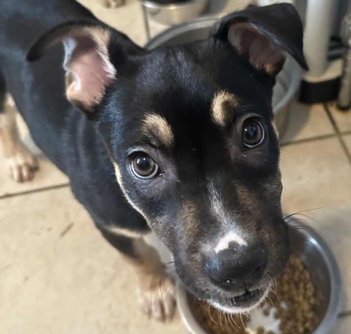 Photo of ZARA