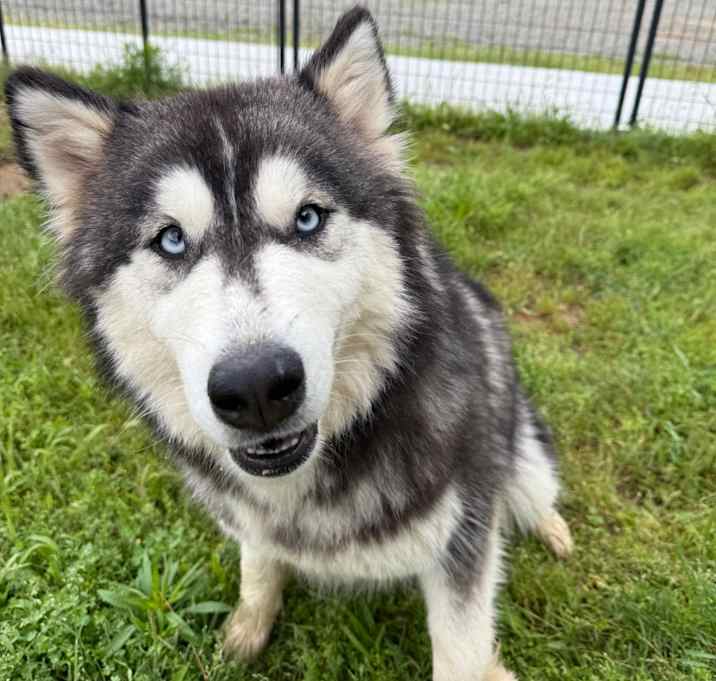 Photo of Penelope
