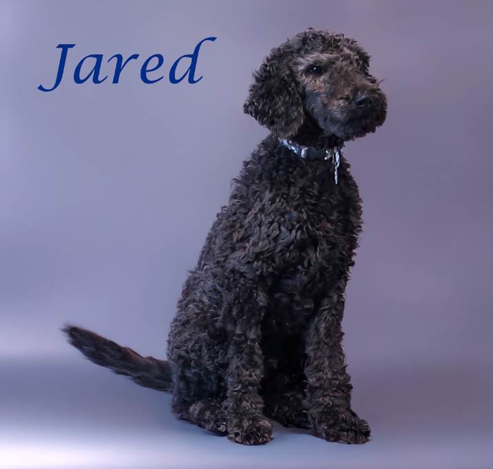 Photo of Jared D25-084