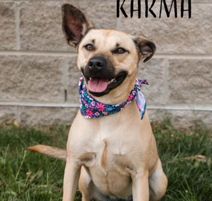Photo of Karma