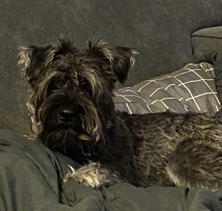 Photo of Charlie