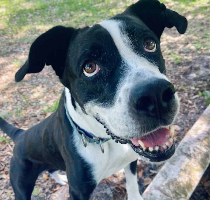 Photo of Rhaya