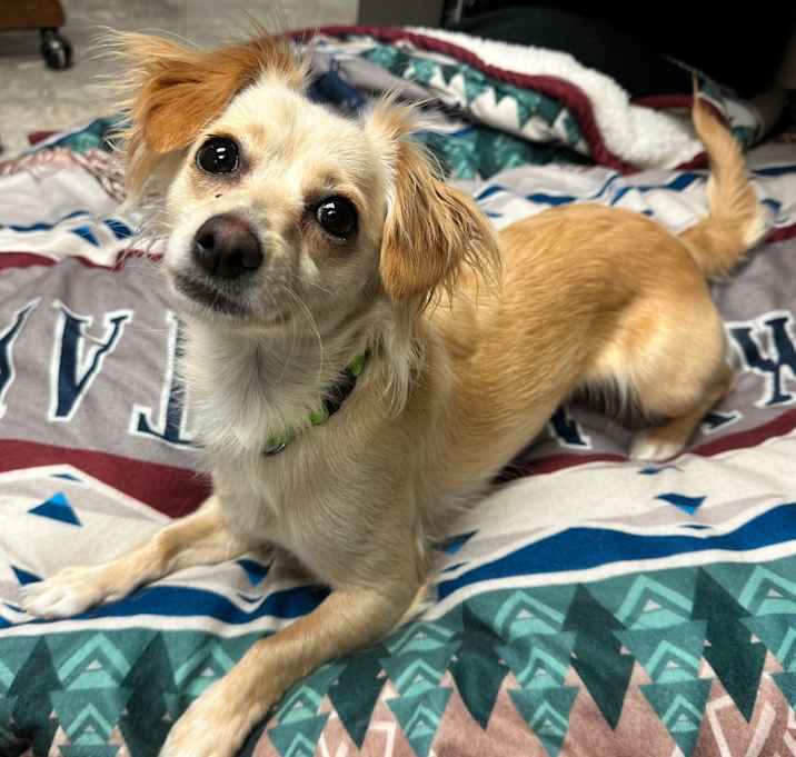 Photo of Churro