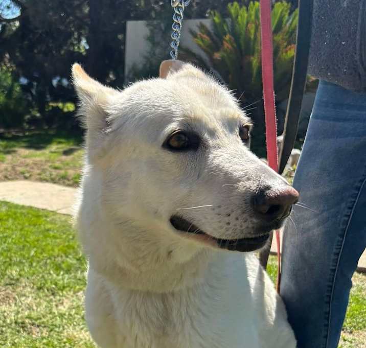Photo of DAISY