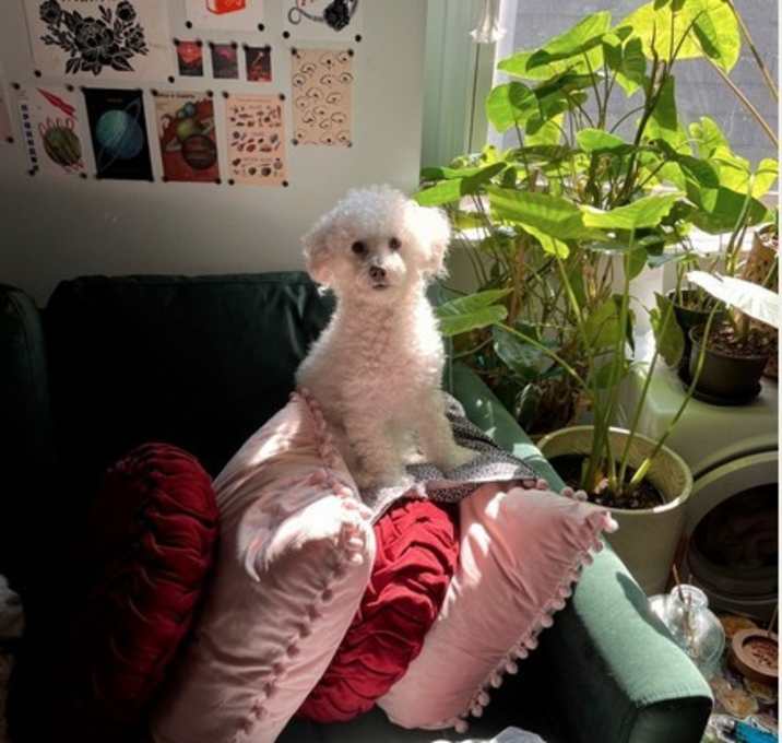 Photo of Dolly Pawton