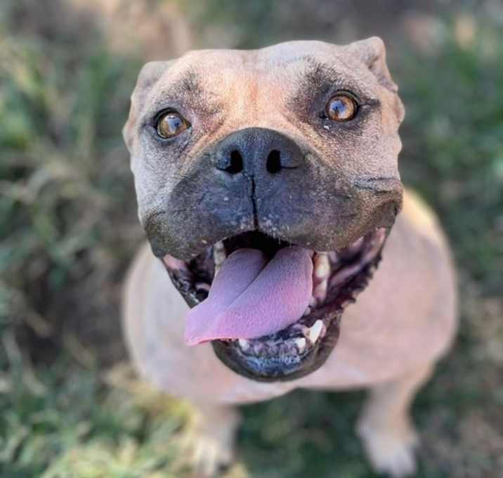 Photo of BELLA