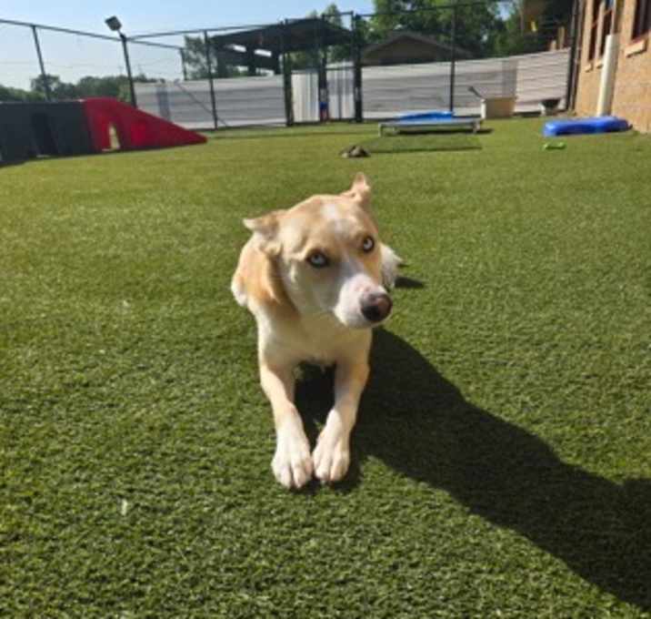 Photo of Freya