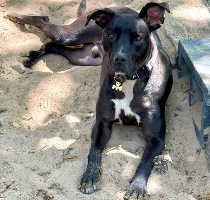 Photo of Hudson