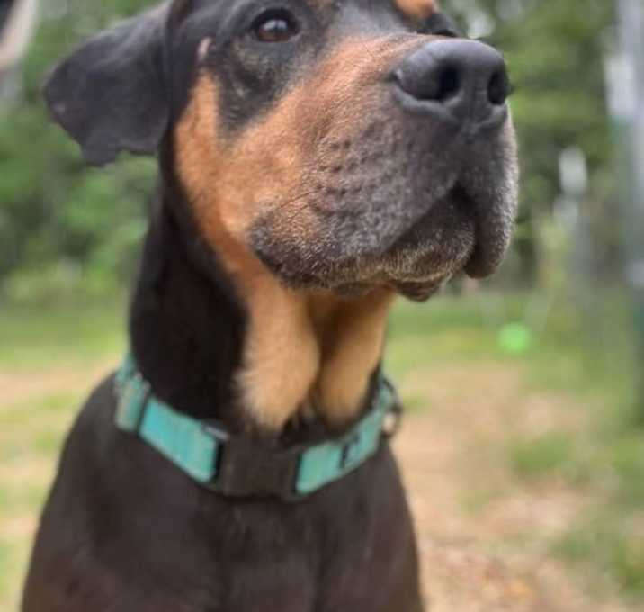 Photo of Lee: At shelter