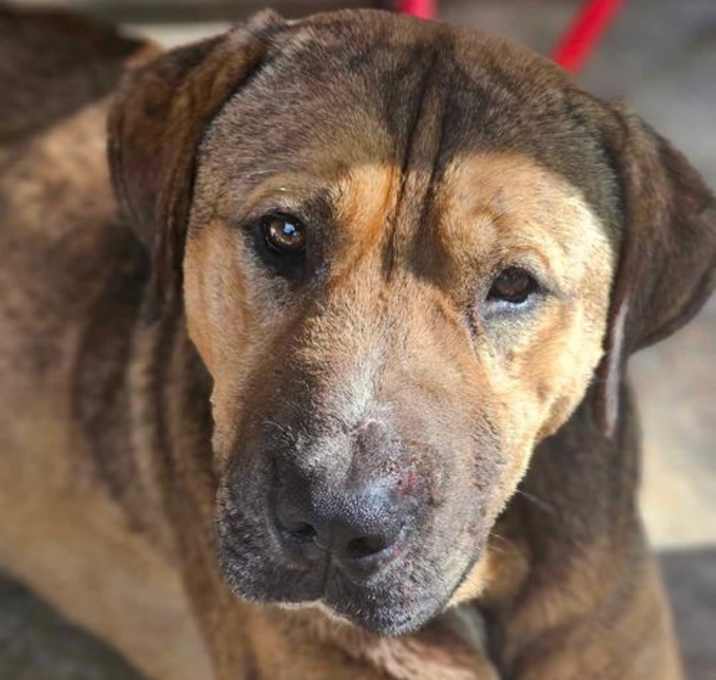 Photo of Harry: At shelter