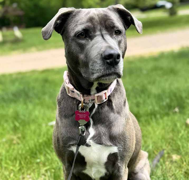 Photo of Luna (Vanilla)