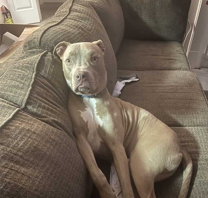 Photo of Tank