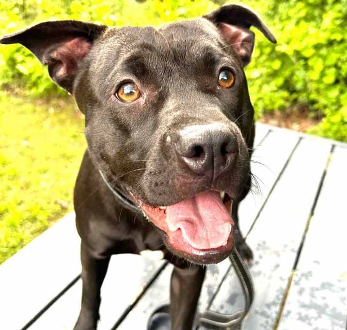 Photo of SWEETIE