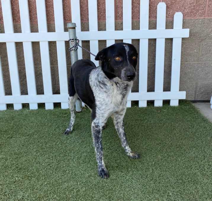 Photo of ROSCOE