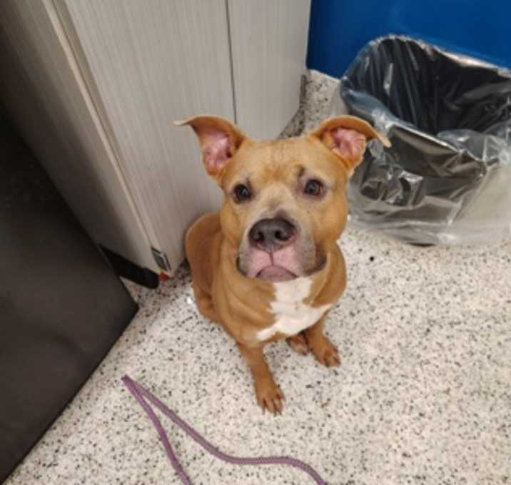 Photo of Peso