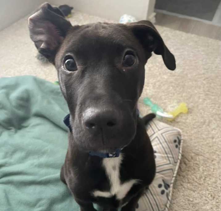 Photo of Ekko