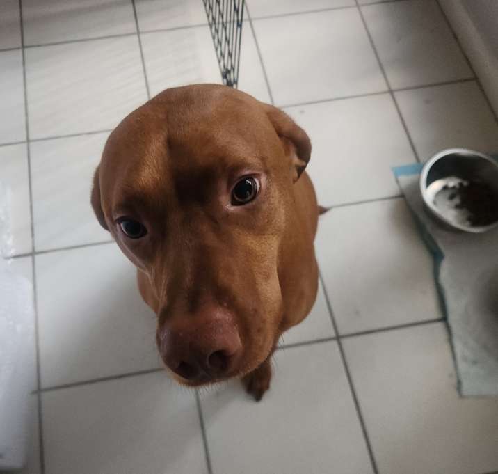 Photo of Echo