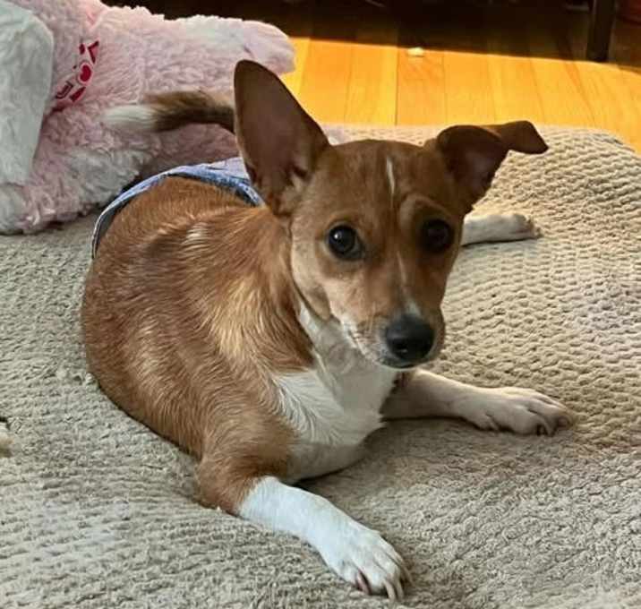 Photo of Walter *Arriving 5/30*