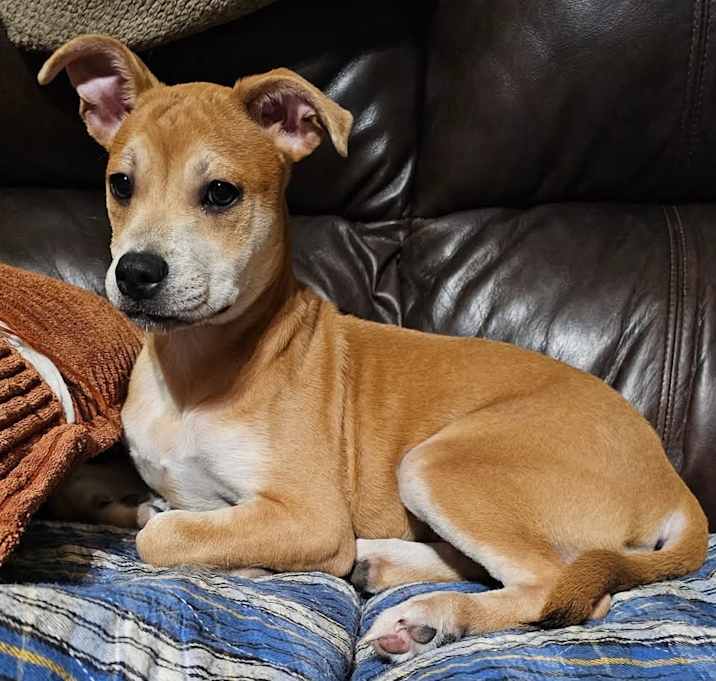 Photo of Zaylee LB