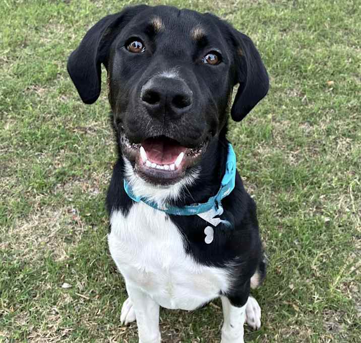 Photo of Owen