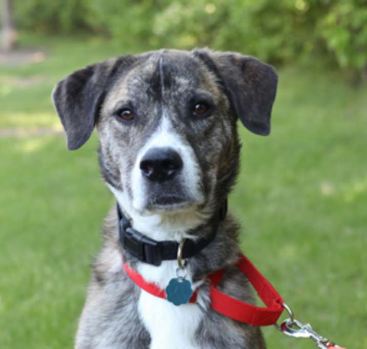 Photo of Willy