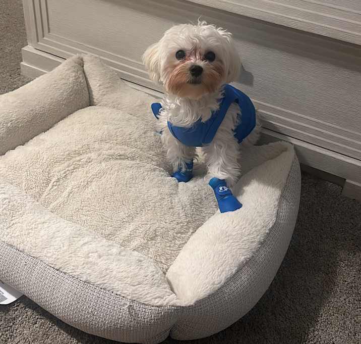 Photo of Leo