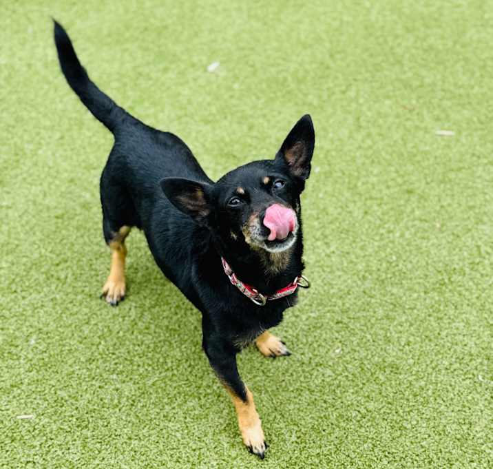 Photo of Missy
