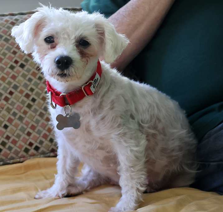 Photo of Lulu Sue