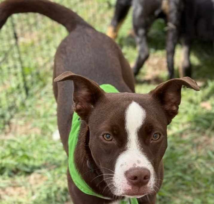 Photo of Mercy
