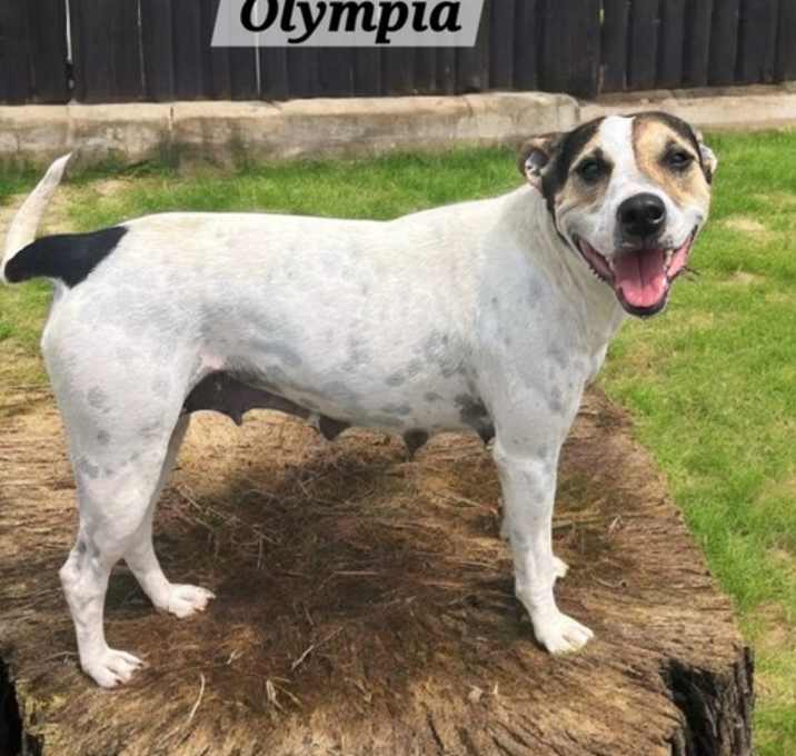 Photo of Olympia