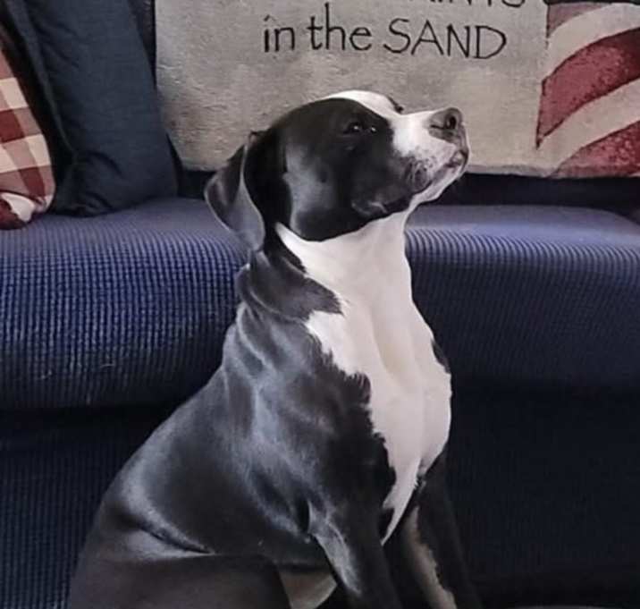 Photo of Vader