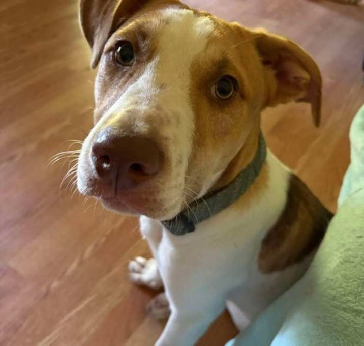 Photo of Eli