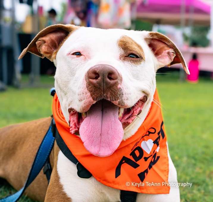Photo of Coop