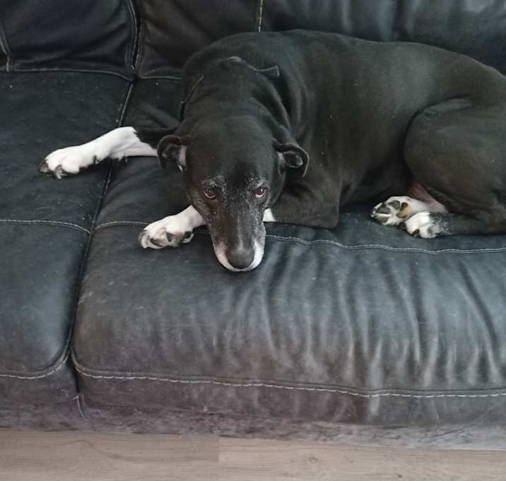 Photo of Elsie