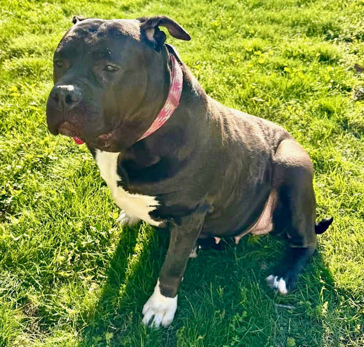 Photo of Mia