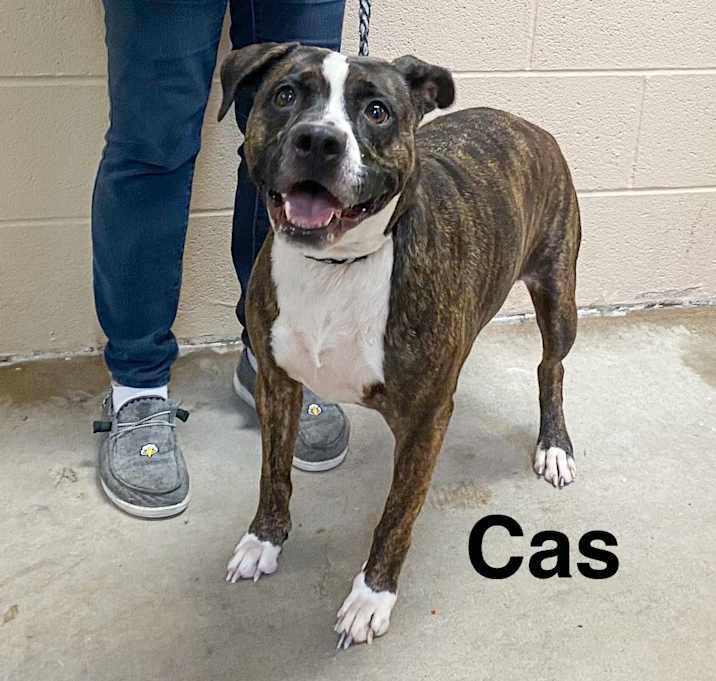 Photo of Cas
