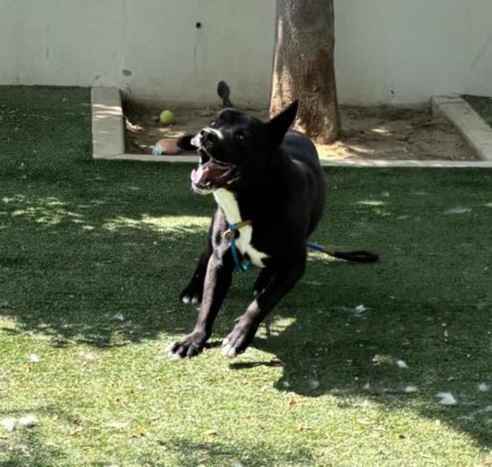 Photo of NOVA