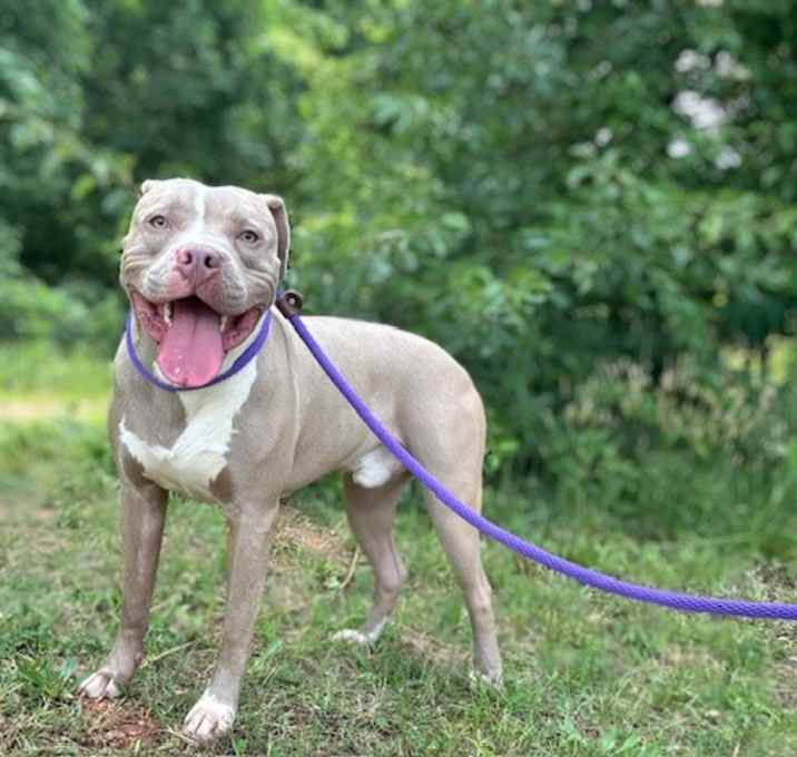 Photo of BIG BOY