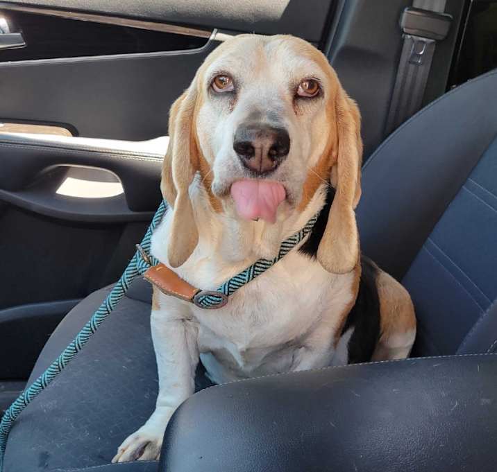 Photo of Betty