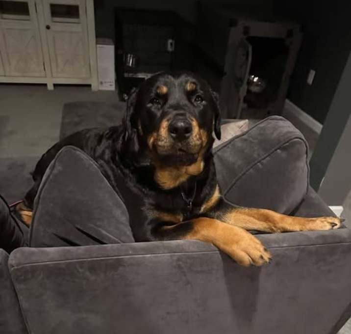 Photo of Hera