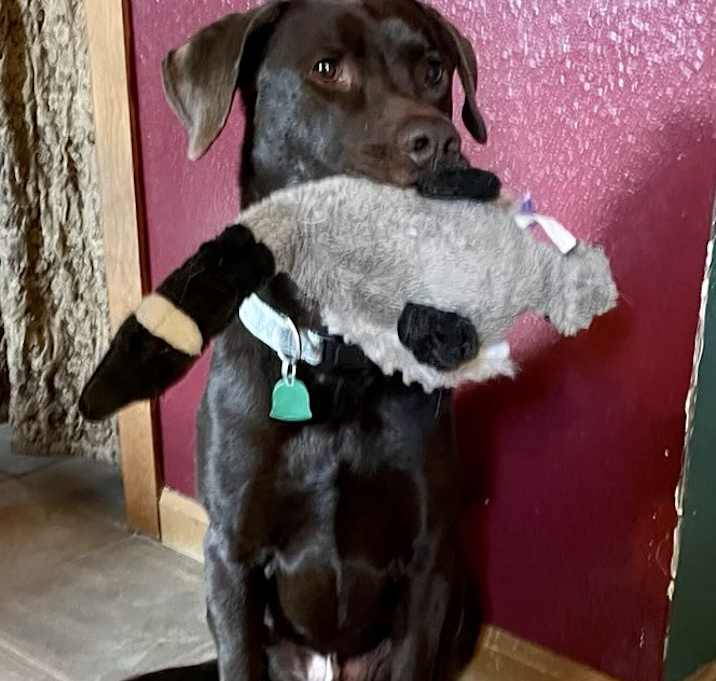 Photo of Max